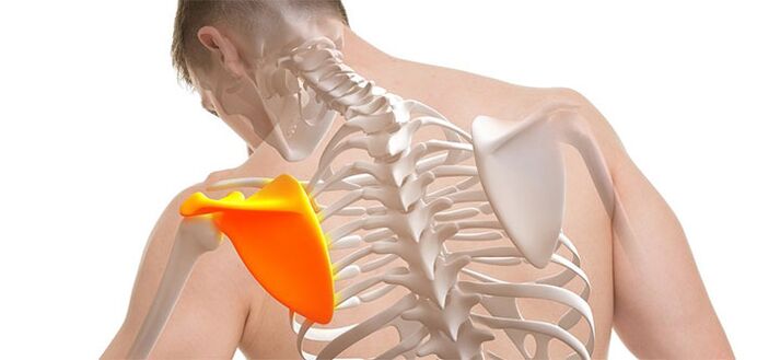 Back pain in the scapula area